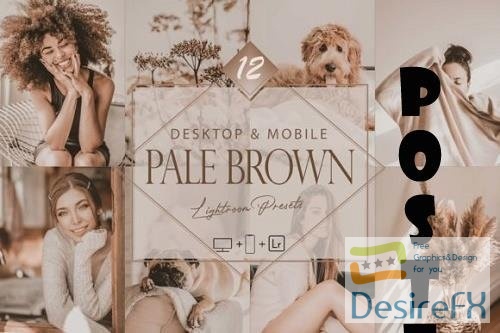 12 Pale Brown Lightroom Presets, Soft Mobile Preset, Brownie Desktop LR Filter