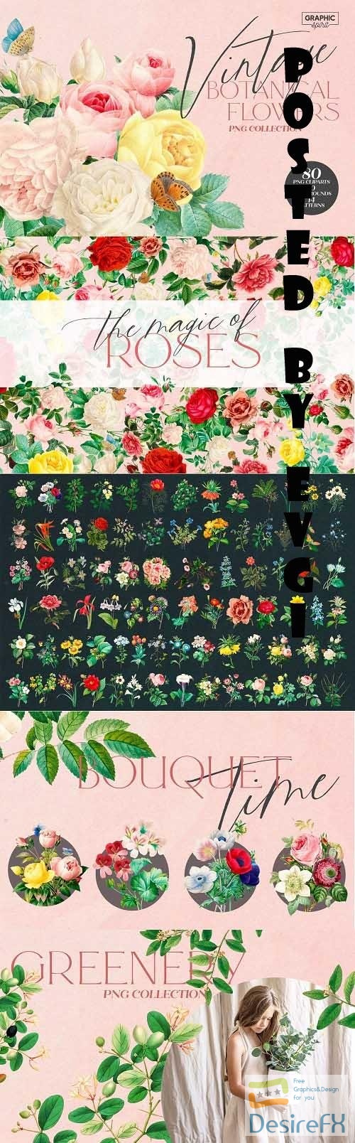 Aesthetic Vintage Flower PNG Clipart - 6221182