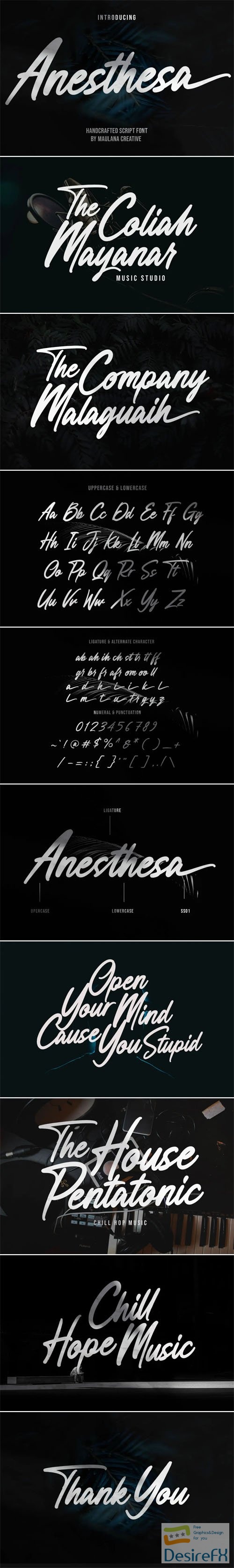Anesthesa Script - Casual Handcrafted Font