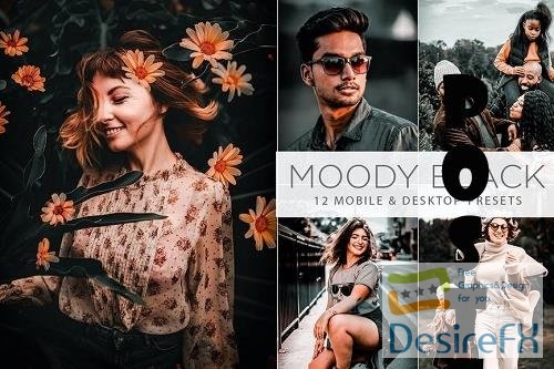 12 Moody Black Presets | Mobile &amp; Desktop Presets