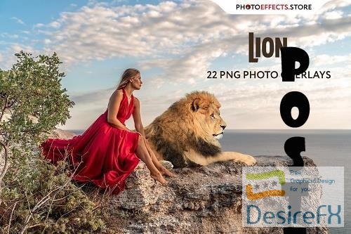22 Lion Photo Overlays - 6652857