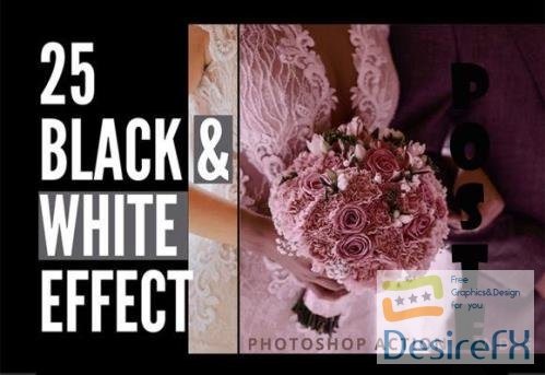 25 Black &amp; White Photoshop Action Bundle
