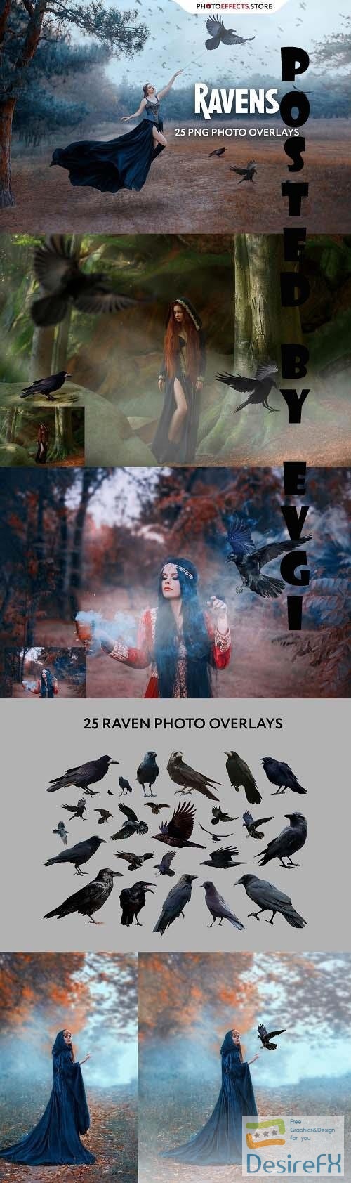 25 Ravens Photo Overlays - 6616712