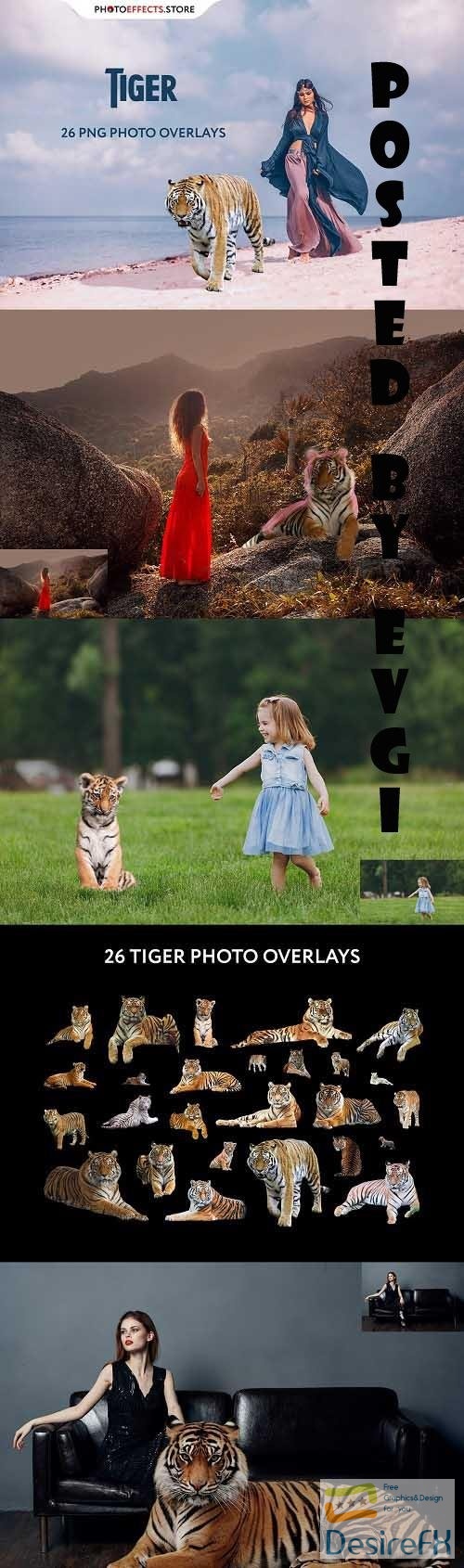 26 Tiger Photo Overlays - 6666419