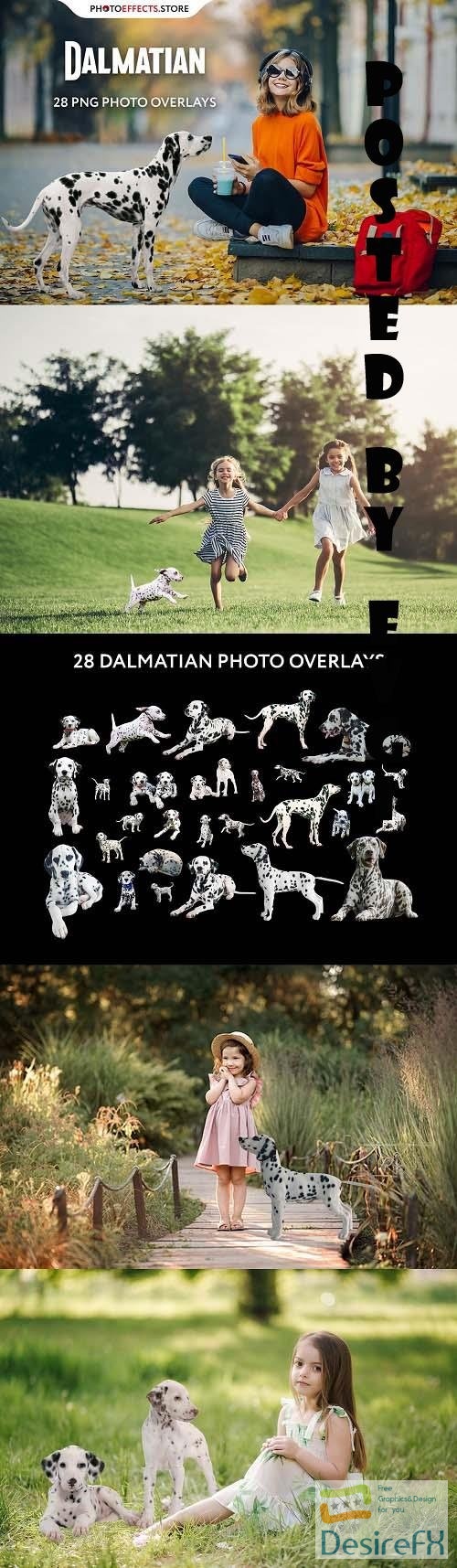 28 Dalmatian Photo Overlays - 6652850