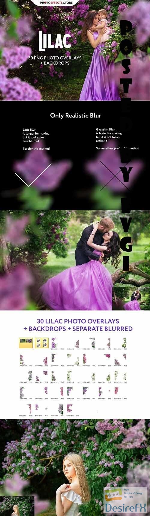 30 Lilac Photo Overlays - 6542496