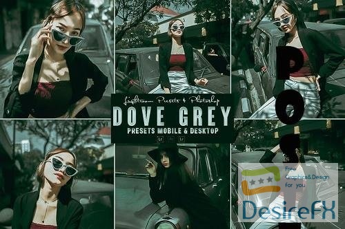 Dove Grey Photoshop Action & Lightrom Presets