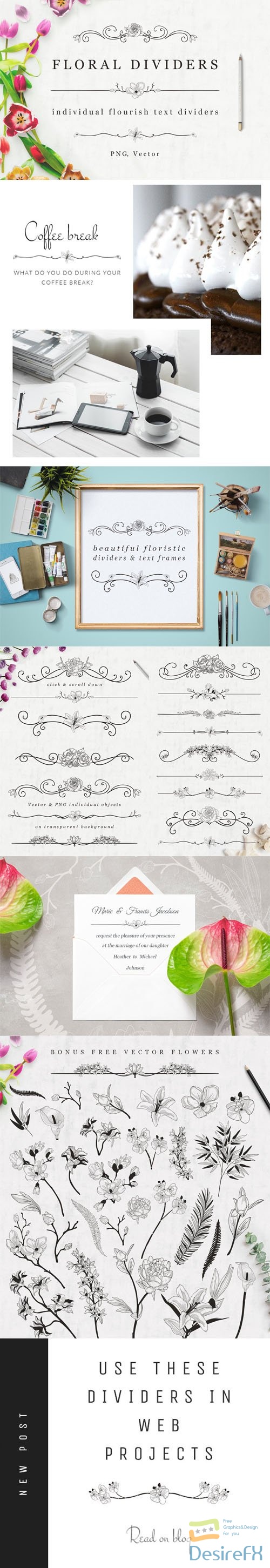 Floral Dividers - Individual Flourish Text Dividers EPS/PNG