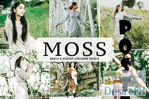 Moss Pro Lightroom Presets - 6695127