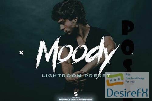 Studio Moody Lightroom Preset