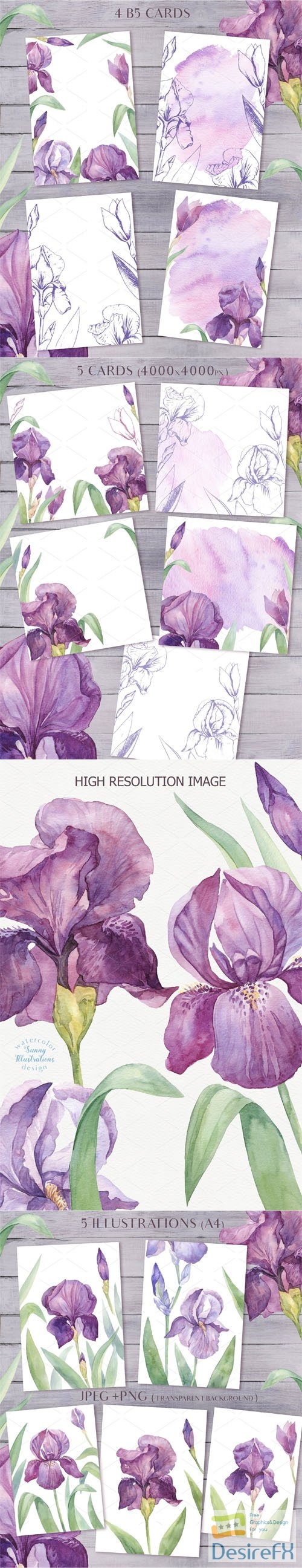 Violet Blossom - Watercolor Vector Graphic Set