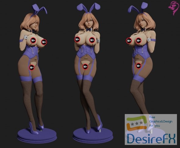 Bunny Girl Hiromi  3D Print