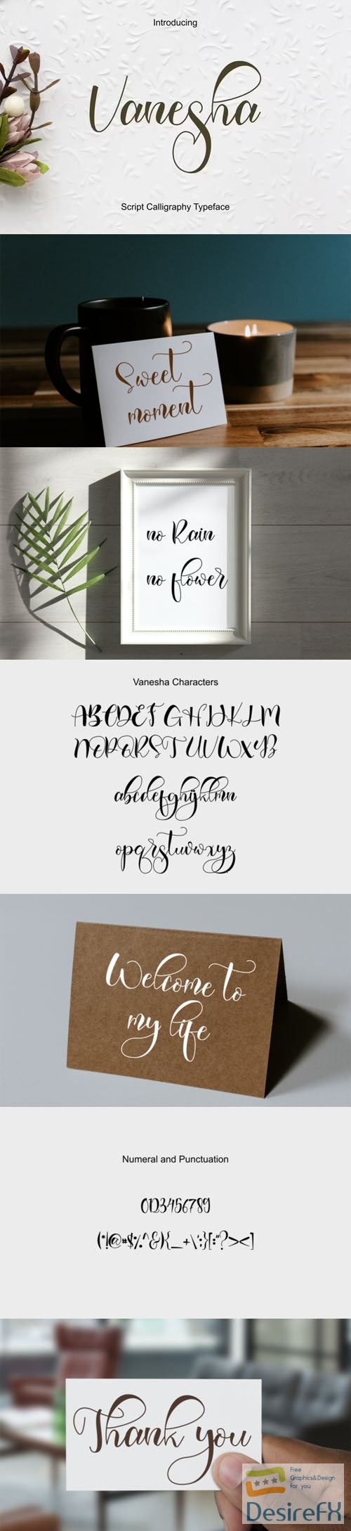 Vanesha Script - Lettered Calligraphy Typeface