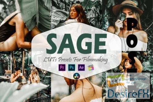 10 Sage Video LUTs Presets