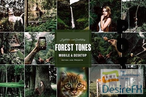Forest Tones -Photoshop Actions Lightroom Presets