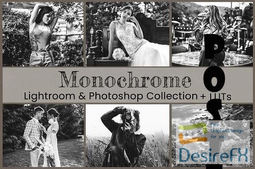 Monochrome Lightroom Photoshop LUT - 6802983