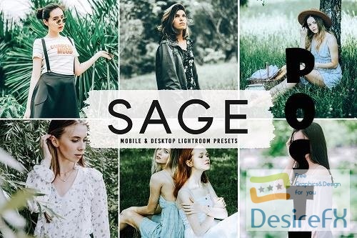 Sage Pro Lightroom Presets - 6832565