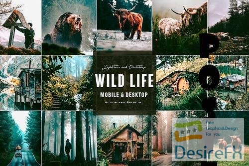 Wild Life - Photoshop Actions &amp; Lightroom Presets