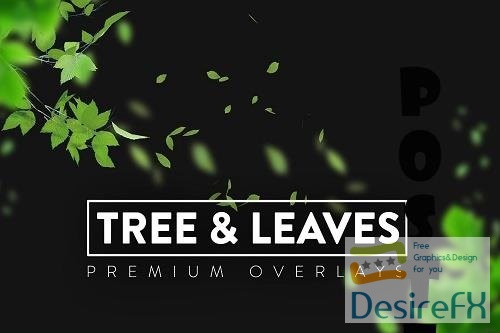 140 Tree and Leaves Overlays - 6399531
