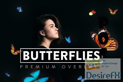 30 Real Butterflies Overlay - 6419316