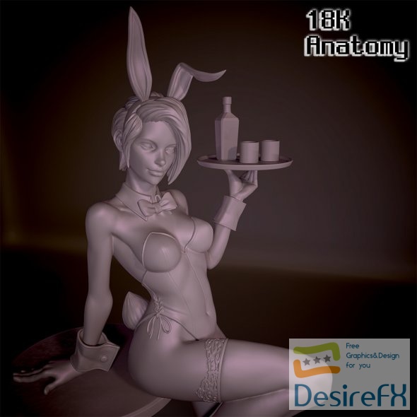 Bunny Girl Anatomy 3D Print