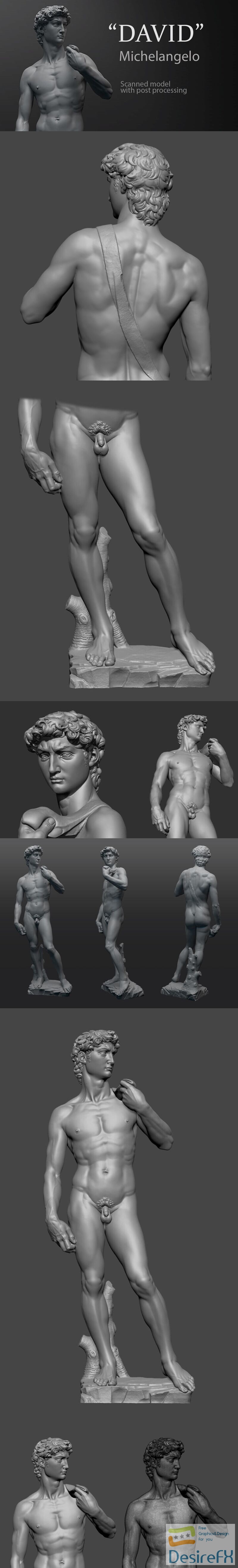 David Michelangelo 3D print model