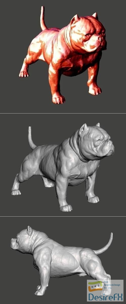 American Bully Dog – 3D Print