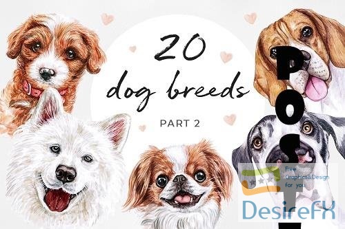 PART 2. Watercolor illustration set DOG breeds. Cute 20 dogs - 535399