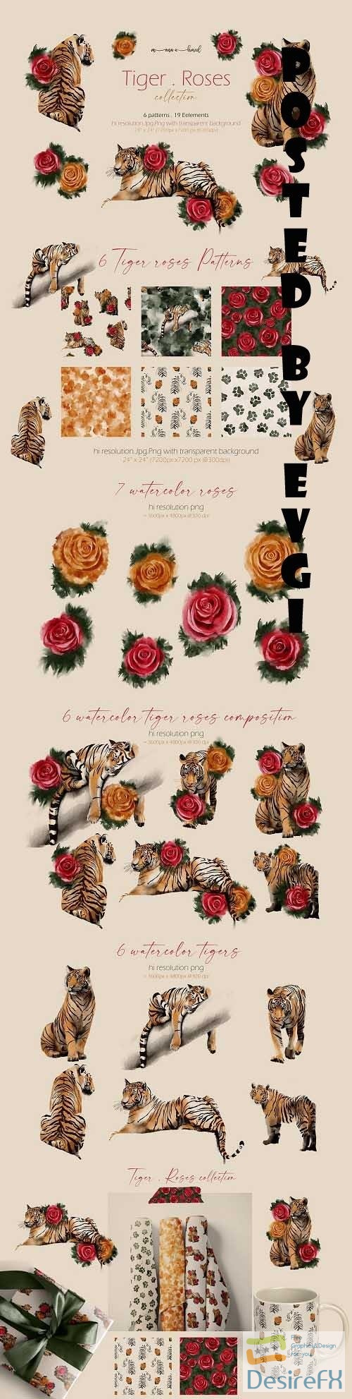 Tigers & Roses watercolor collection - 6941142