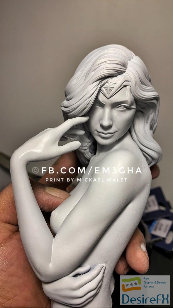 Diana Prince Wonder Woman 1984 3D Print
