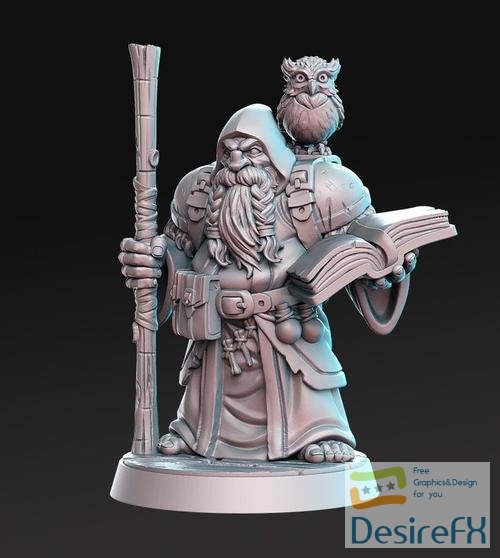 Dramnir - Dwarf Wizard with owl – 3D Print