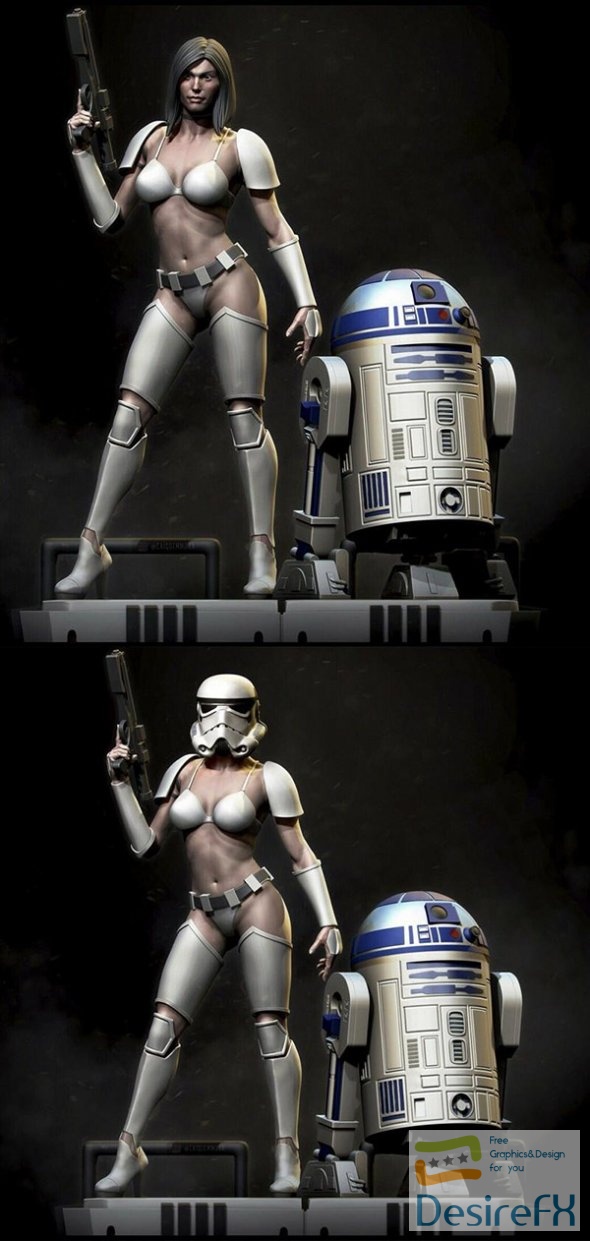 Female Stormtrooper and R2D2 3D Print