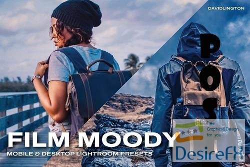 Film Moody Lightroom Presets & LUTs