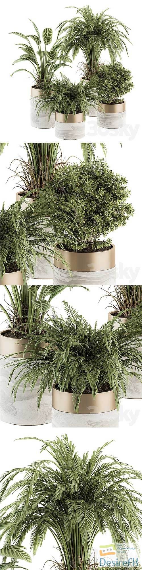 Indoor Plant Set 245 Plant Set in Pot 3D Model