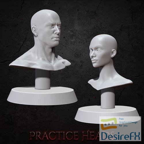 Practice Busts – 3D Print