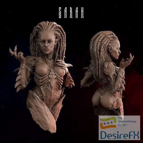 Sarah – 3D Print