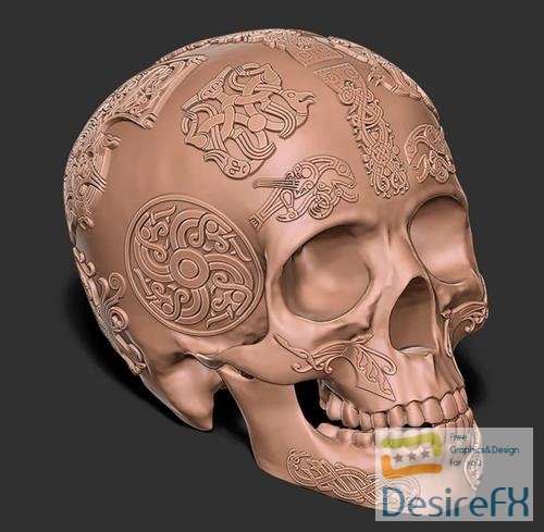 Viking Skull – 3D Print