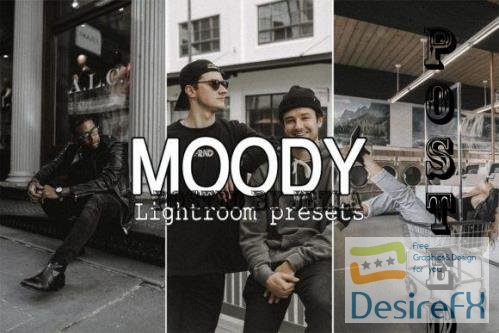 3 Moody Lightroom Presets - 7265621