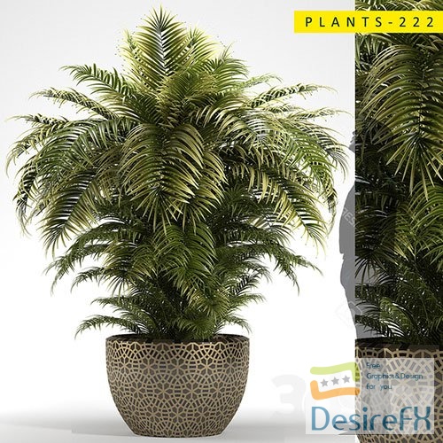 Plants Collection 222 3D Model