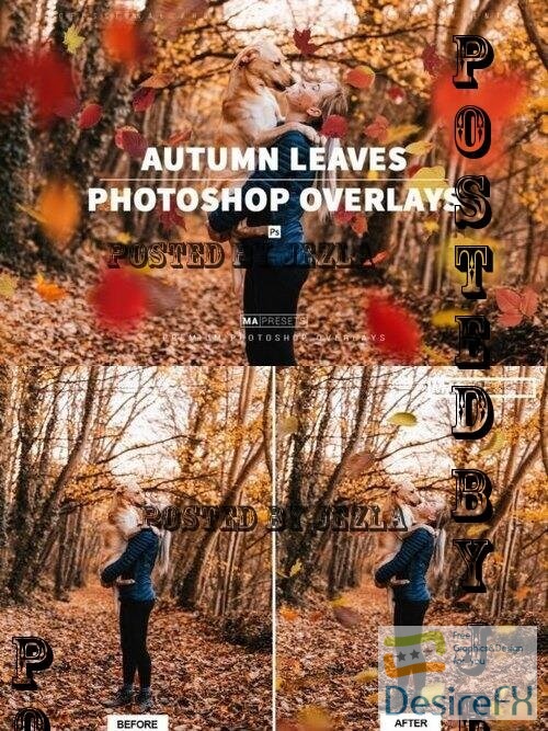 70 Autumn Leaves Overlays