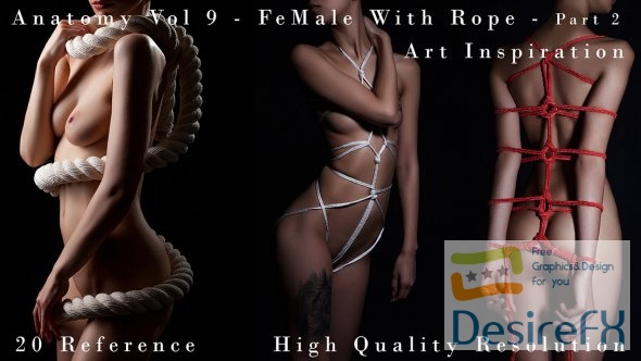 Anatomy Vol 9 – Female With Rope Part 2 - Art Inspiration
