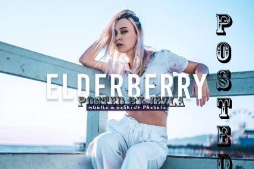 Elderberry Pro Lightroom Presets - 7403891