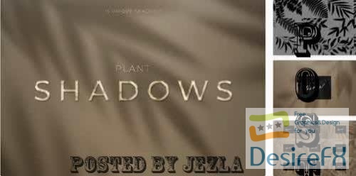 Plant Shadows Pack - G6N48WV