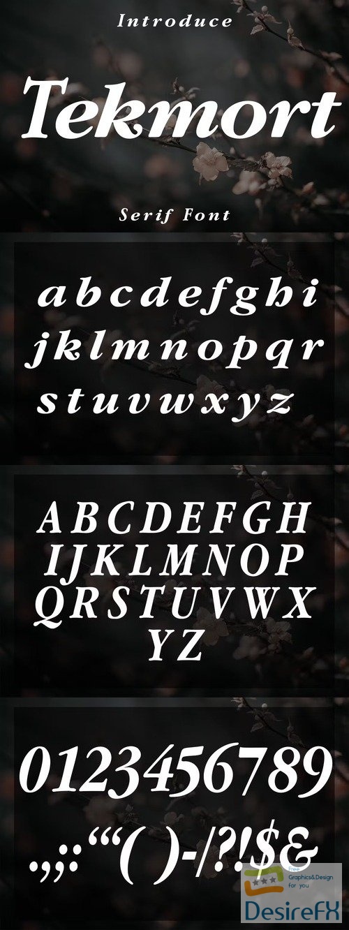Tekmort Serif Font
