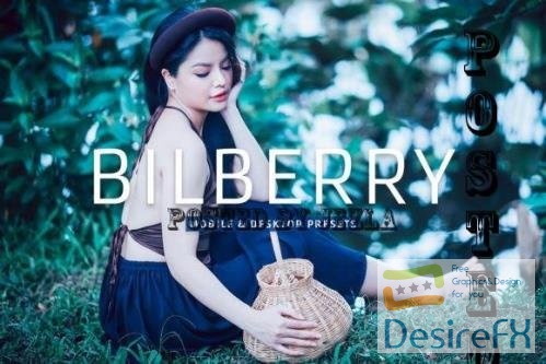 Bilberry Pro Lightroom Presets - 7469776