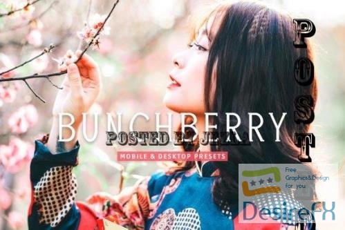 Bunchberry Pro Lightroom Presets - 7469777