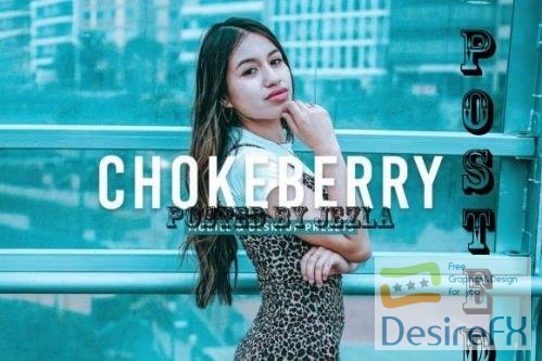 Chokeberry Pro Lightroom Presets - 7469780
