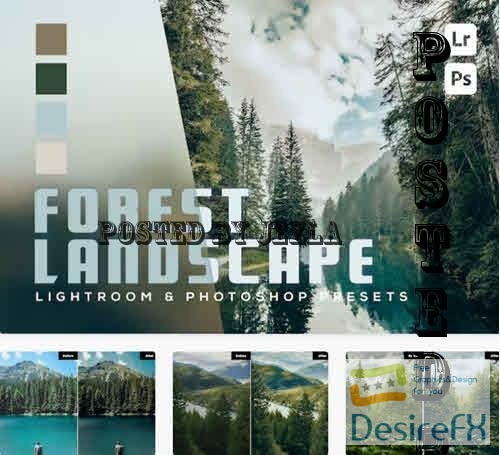 Forest 7 Landscape Lightroom and Photoshop Presets