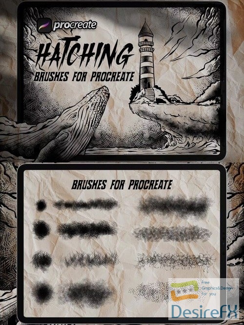Dans Hatching Drawing Procreate
