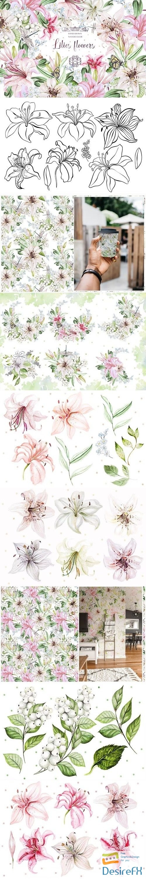 Hand Drawn watercolor flowers lily 2